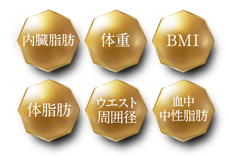 内臓脂肪 体重 BMI 体脂肪 ウエスト周囲径 血中中性脂肪