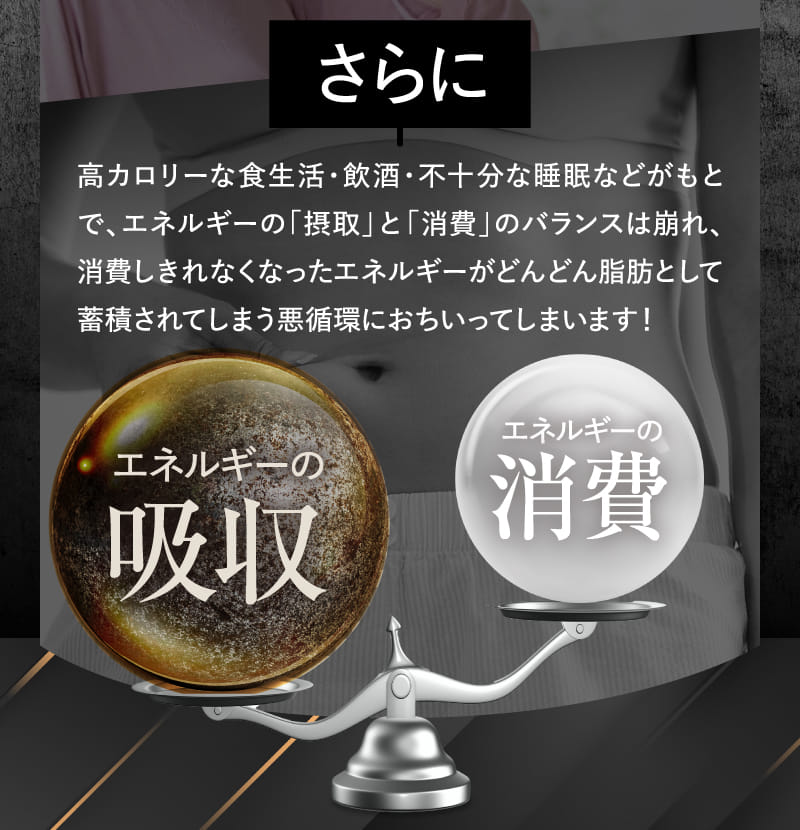 さらに高カロリーな食生活・飲酒・不十分な睡眠などがもとで、エネルギーの「摂取」と「消費」のバランスは崩れ、消費しきれなくなったエネルギーがどんどん脂肪として蓄積されてしまう悪循環におちいってしまいます！