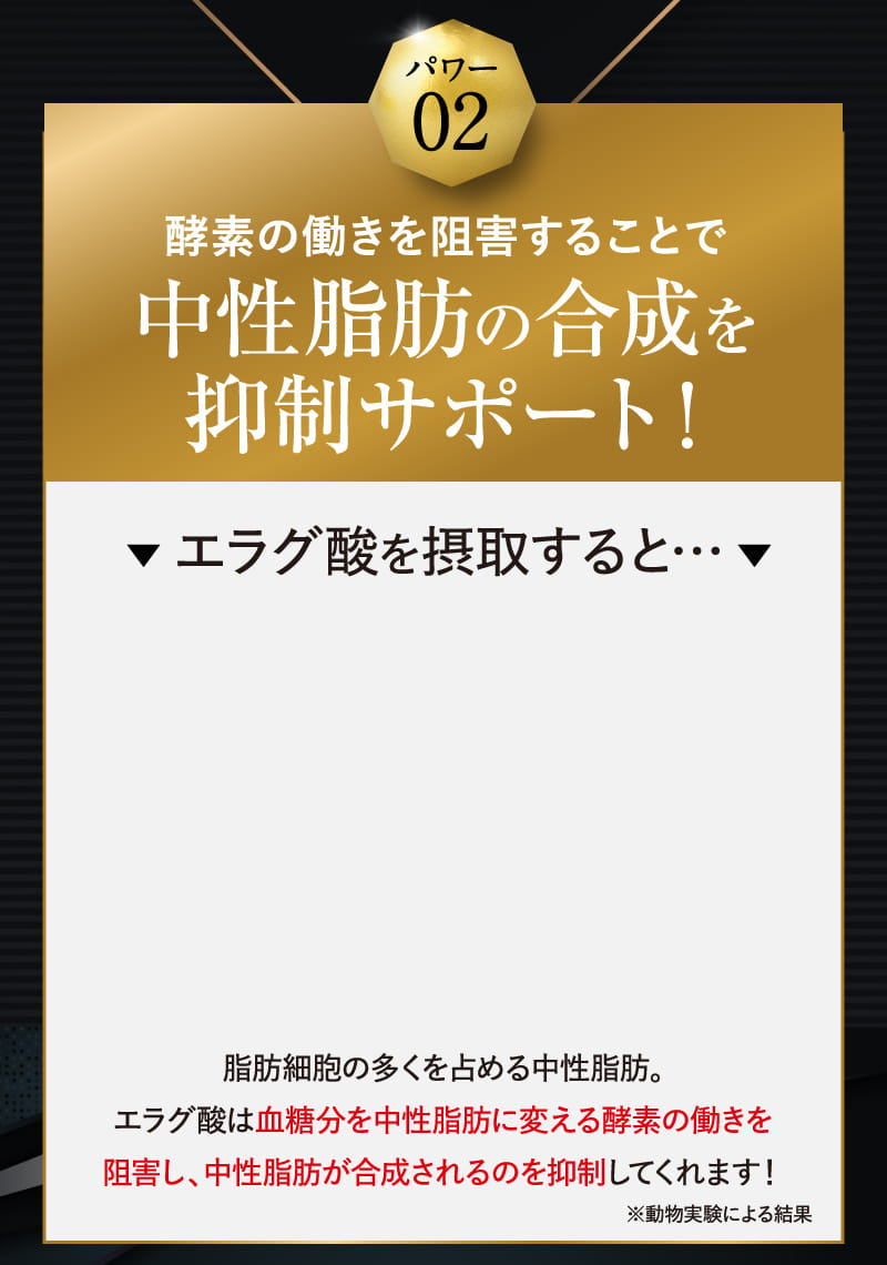 パワー02 酵素の働きを阻害することで中性脂肪の合成を抑制サポート！