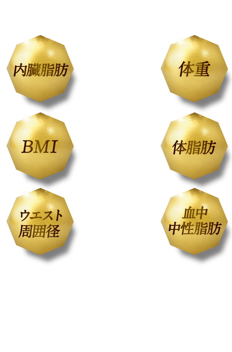 内臓脂肪 BMI ウエスト周囲径 体重 体脂肪 血中中性脂肪